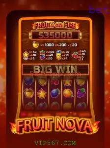 Descubra o Fascinante Mundo de FruitNova: Um Guia Completo