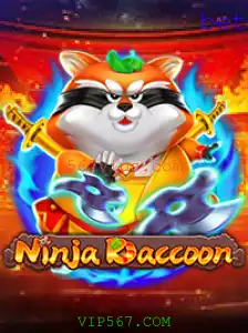 Descubra o Fascinante Mundo de NinjaRaccoon